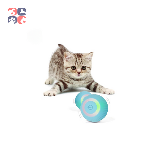 AutoPlay Magic Ball: Ultimate Interactive Feline Play Experience