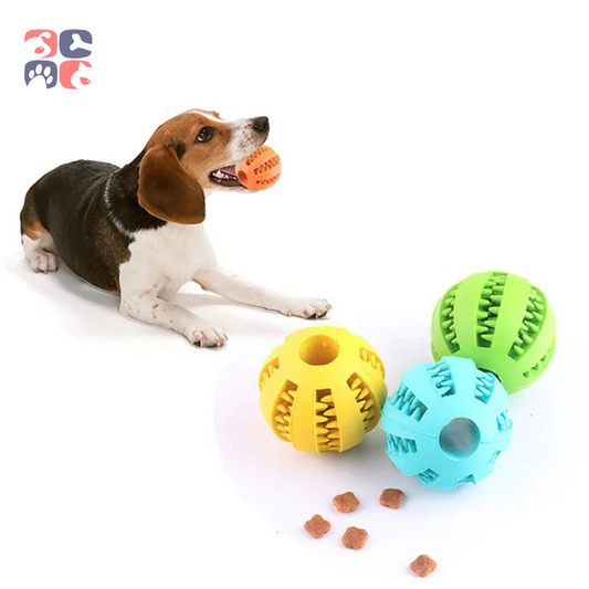 BounceBite Chew Ball: Durable Play and Dental Care Toy for Dogs