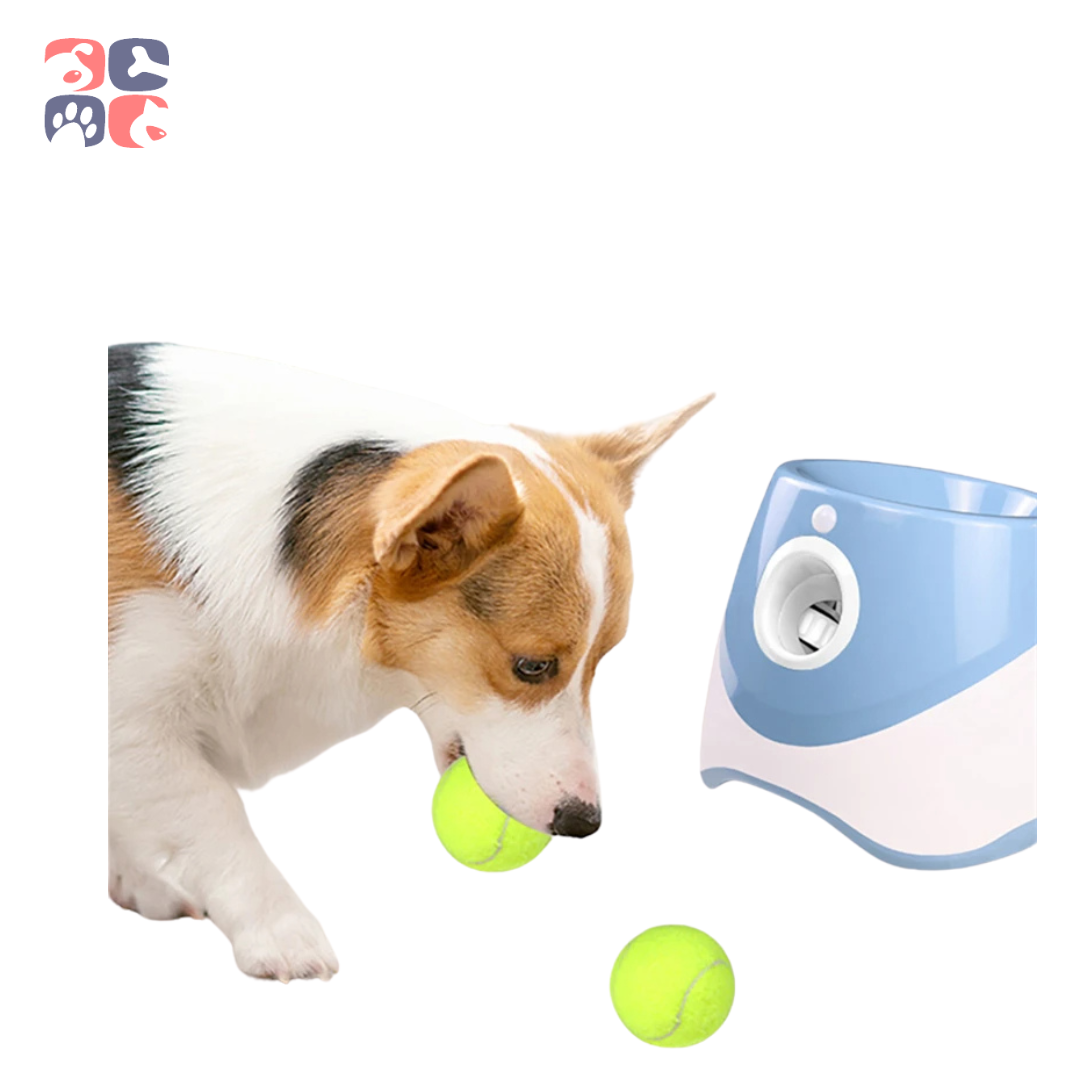 Fetch Forever: The Ultimate Rechargeable Dog Tennis Launcher